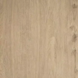 MA56