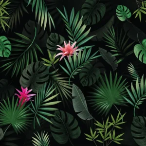 Bromelia