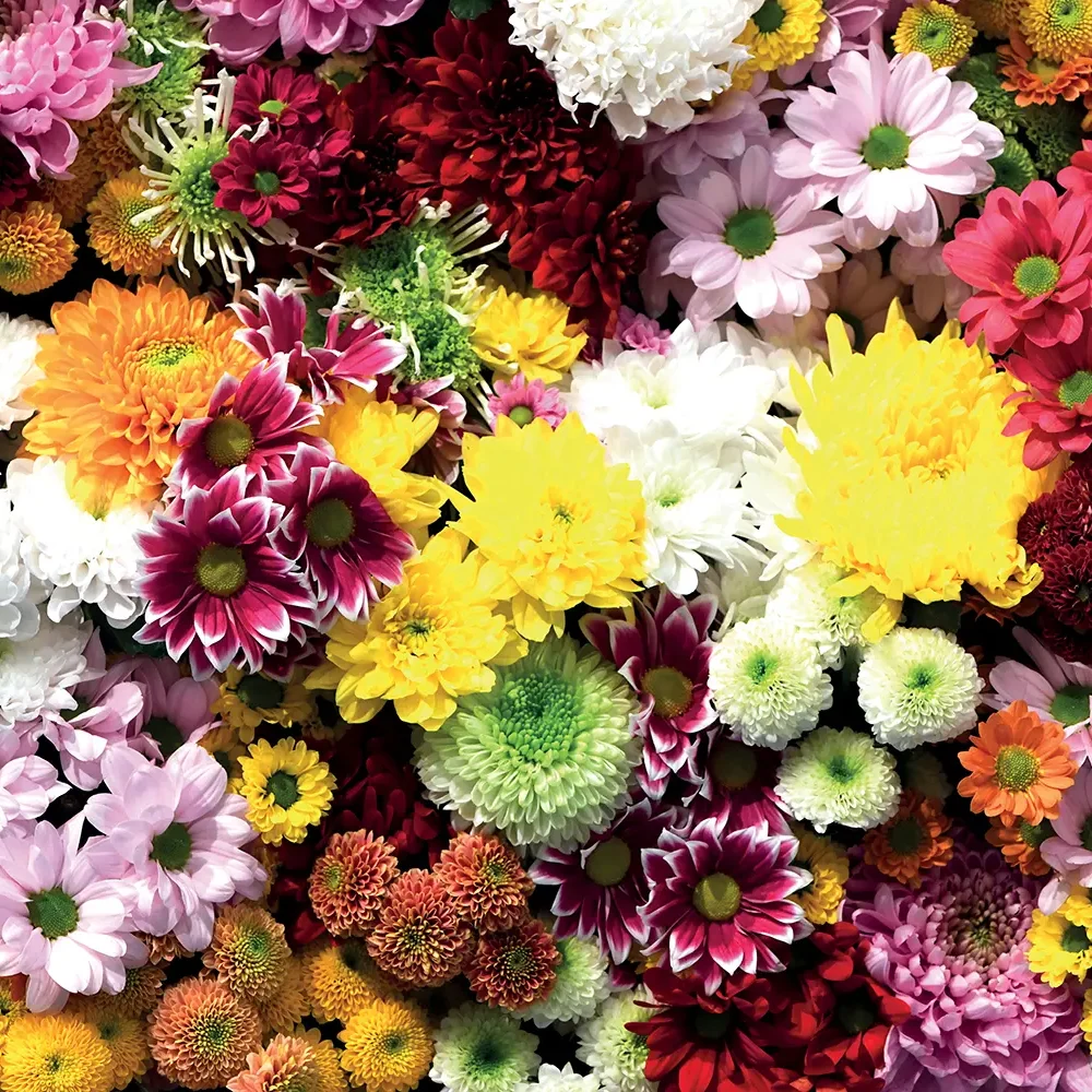 Flower Wall