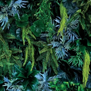 Plant Wall