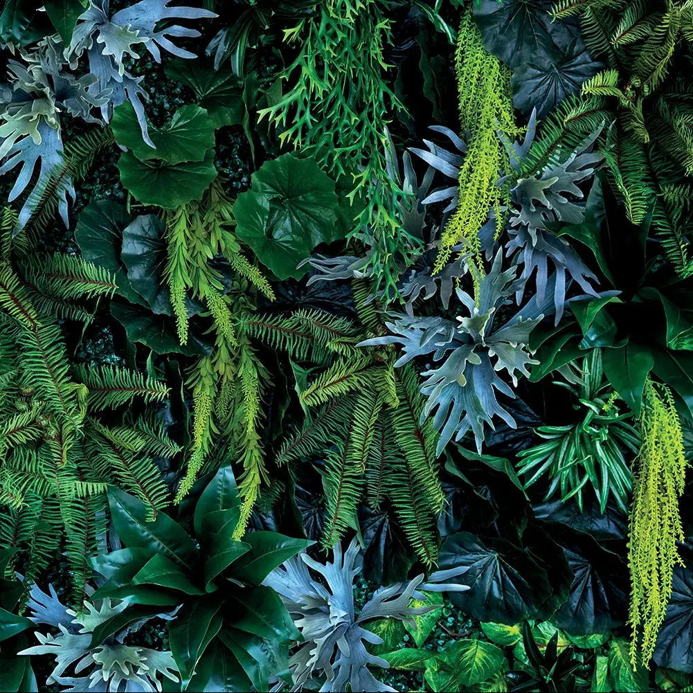 Plant Wall