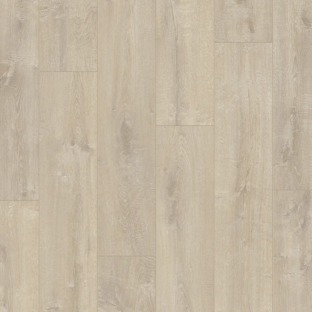 BACL40158