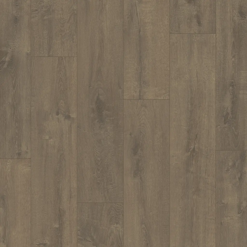 BACL40160