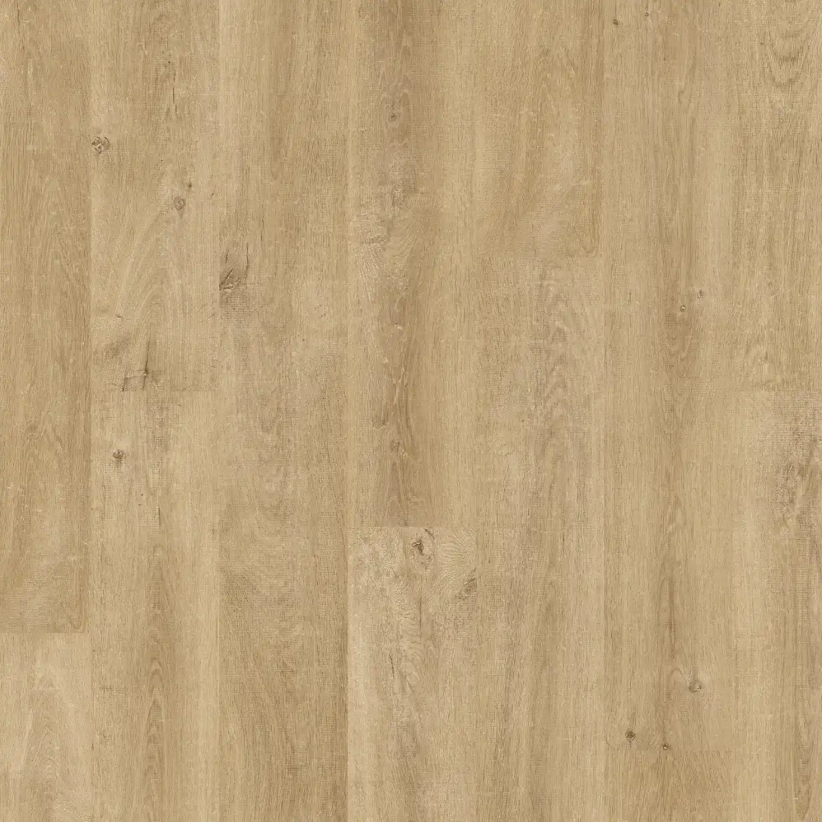 Quick-Step Eligna 8mm Venice Oak Natural EL3908 - Image 2