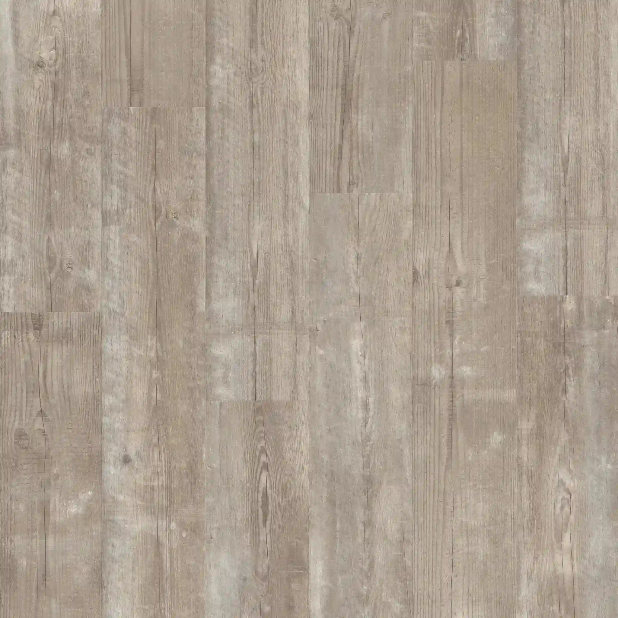 Quick-Step Alpha Bloom Morning Mist Pine LVT Flooring AVMPU40074 - Image 2