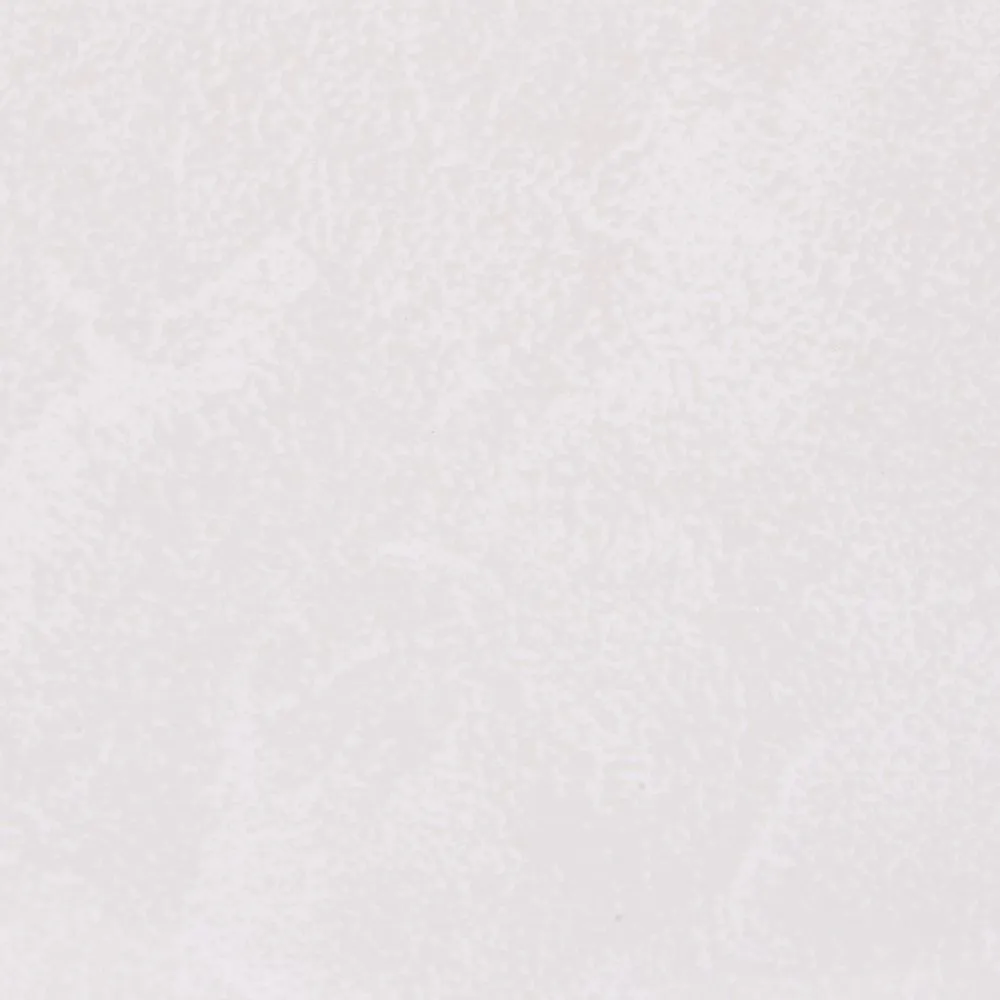 Guardian Neptune Mega Panel 1000 x 2400 x 10mm Frosty White Gloss
