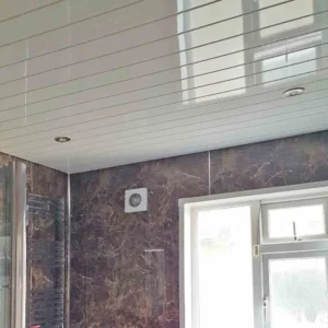 Ceiling Clad