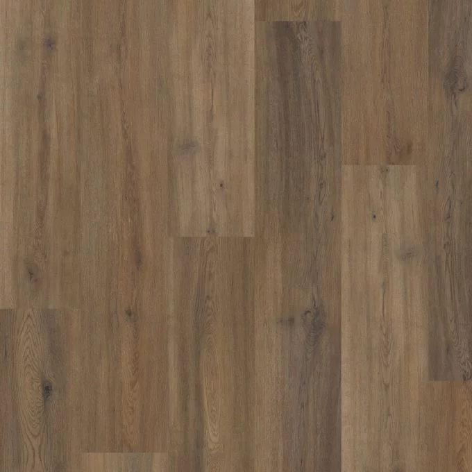 Polyflor Camaro PUR 2mm Glue Down LVT Astoria Oak 2259 - Image 2