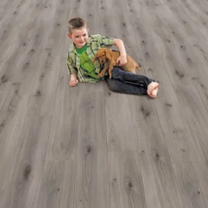 Elka Misty Oak 12mm laminate flooring shown in a room setting